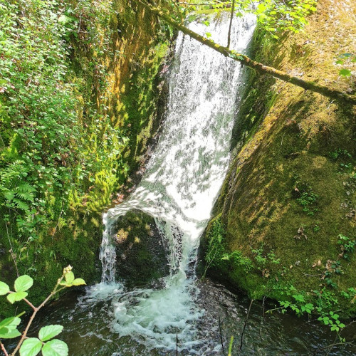 Wasserfall_1_1