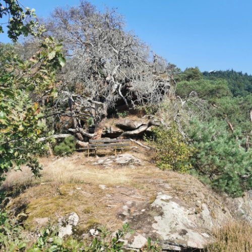 Kostenfelsen_6