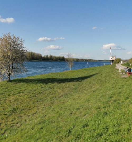 Rhein